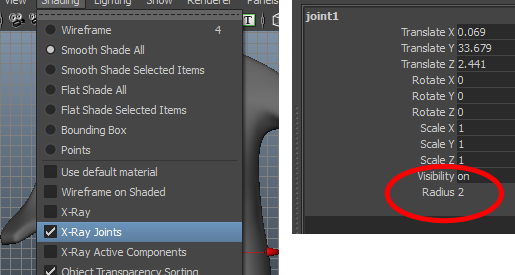 X-Ray and Radius