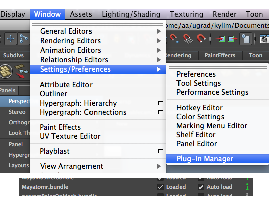 Plug-in manager & load, auto-load